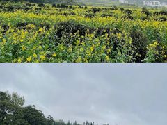 -篁岭景区