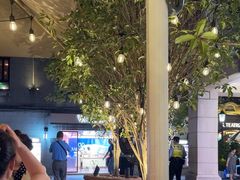 -Calix&Lay's(新天地店)