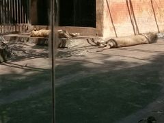 -柳州市动物园