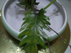 -眉州东坡(博雅店)