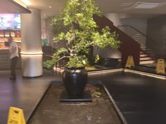 -巴渝菜舍曾氏麻辣风(霸州店)