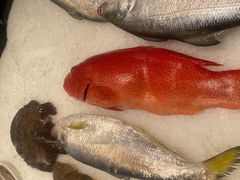 -国惠大酒楼(仓山万达店)