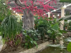 -兴芮温泉度假区