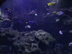 -哈尔滨波塞冬海底世界