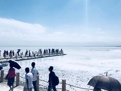 -青海茶卡盐湖文化旅游发展股份有限公司