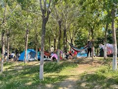 -长白岛森林公园