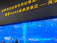 -成都浩海立方海洋公园