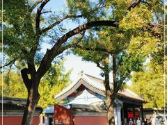 -北京国子监胡同