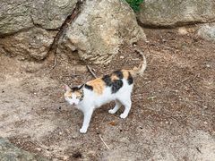 -崂山巨峰游览区