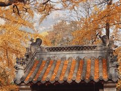 -青岛崂山太清宫