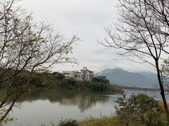 -福建鲤鱼洲酒店