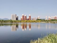 -永定河休闲森林公园