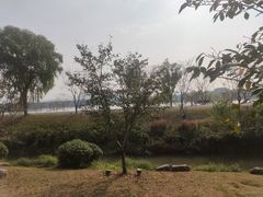 -羊山湖公园