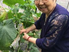 -万源龙顺度假庄园生态观光园