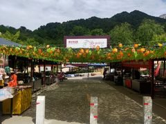 -王顺山国家森林公园