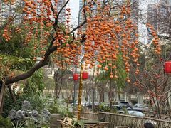 -田园印象·成都土菜院子(华阳店)