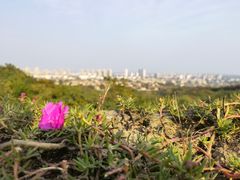 -南京市江宁方山