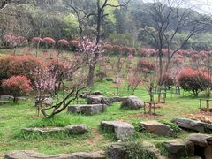 -桃花岭景区