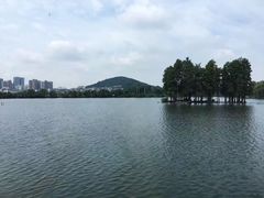 -东湖食堂·湖景餐厅•会议