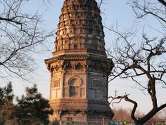-云岗森林公园