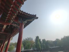 -尚庄度假村·庭台树下·户外烧烤·团建CS·轰趴营地(上庄水库店)