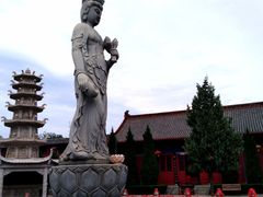 -大槐树寻根祭祖园