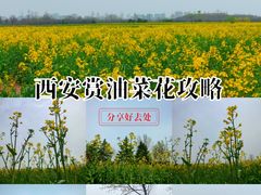 -汉长安城未央宫国家考古遗址公园