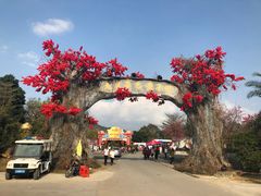 -天适樱花悠乐园