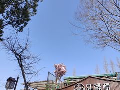 -旺福楼(钱家坞总店)