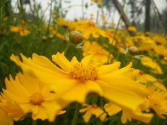 -白鹭湾湿地公园