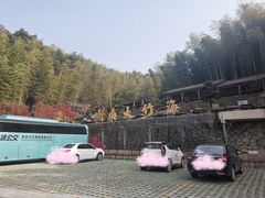 -宁波浙东大竹海景区