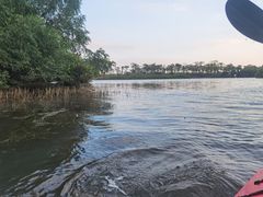 -芒洲湿地公园
