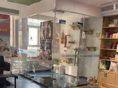 -天使宠物医院·犬猫分诊(彩虹店)