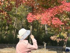 -南京枫彩漫城