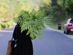 -南京市无想山景区