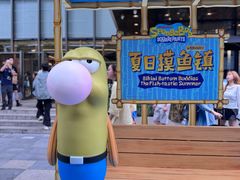 -清真军邺·金富苑肥牛(石坡街旗舰店)