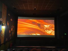 -AMG海上明珠影城(上海环球港RealDCinema店)