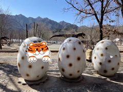 -百里山水画廊-恐龙游乐园