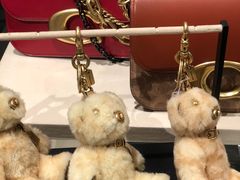 -COACH蔻驰(华润万象城店)