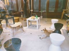 大堂-Metal hands·铁手咖啡