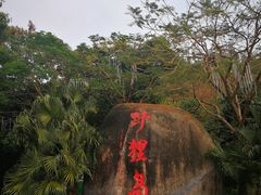 -野狸岛
