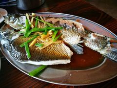 -竹庄餐馆·26年店(南昆山景区店)