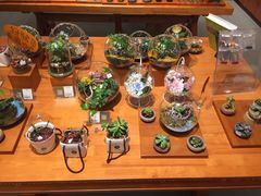 -矢量咖啡(万象汇店)