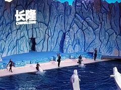 -珠海长隆海洋王国