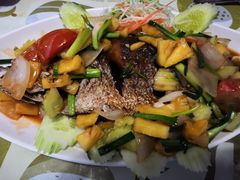 -Jungle Kitchen