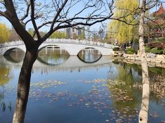-大连植物园