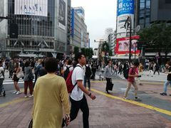 -涩谷区
