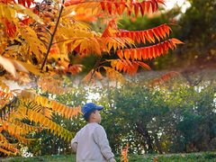 -北运河水利风景区