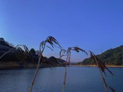 -广州市流溪河国家森林公园