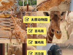 -太原动物园